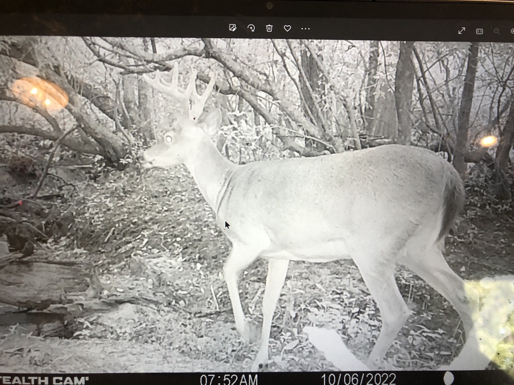 Canadian Border OPEN to American photo